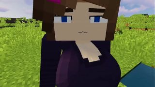 Minecraft – Jenny SexMod Update 1.3.1 News